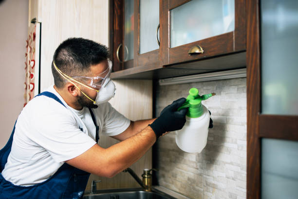 Best Pest Prevention Services  in Bensville, MD
