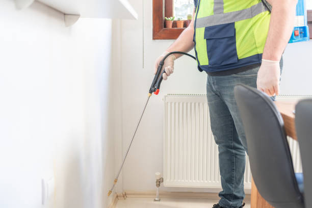 Best Rat Extermination Near Me  in Bensville, MD