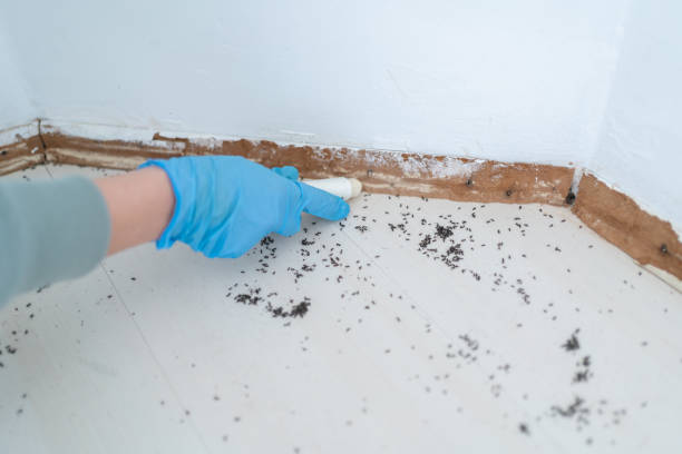Best Residential Pest Control  in Bensville, MD