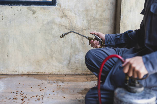 Best Pest Control for Restaurants  in Bensville, MD