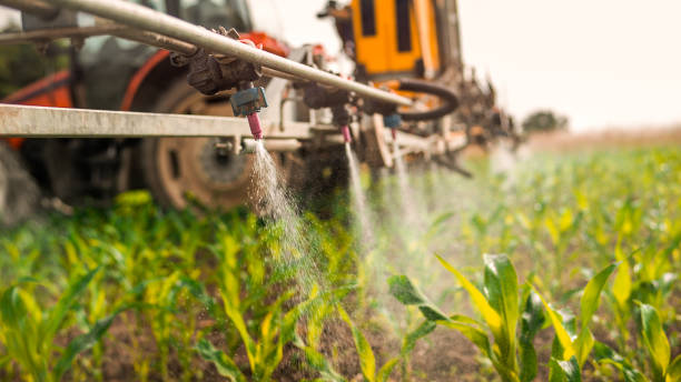 Best Mosquito Control Services  in Bensville, MD